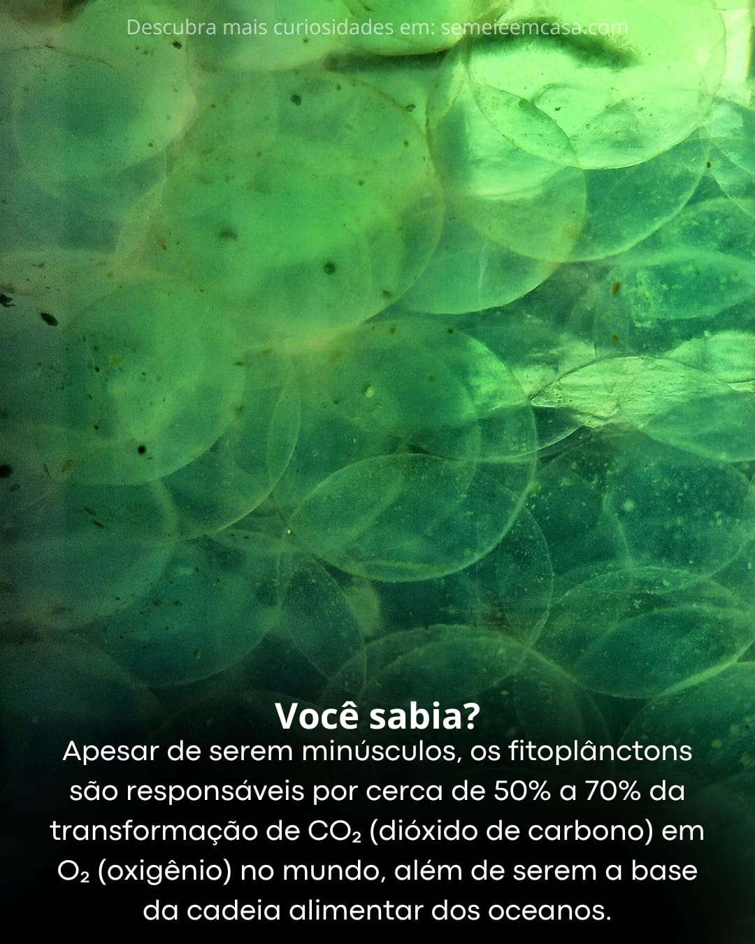 ESENAO